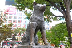 渋谷で証明写真を撮影するならどこ?駅構内や駅付近の撮影場所を解説!1